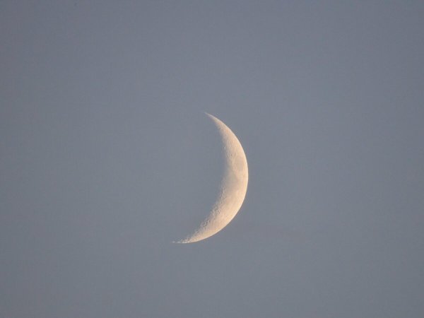 Дни в месяцах