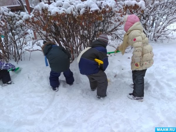 Наблюдение зимой для детей детского сада