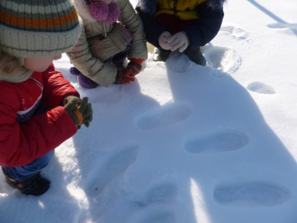 Экспериментальная деятельность со снегом