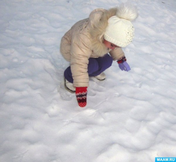 Наблюдение за снегом