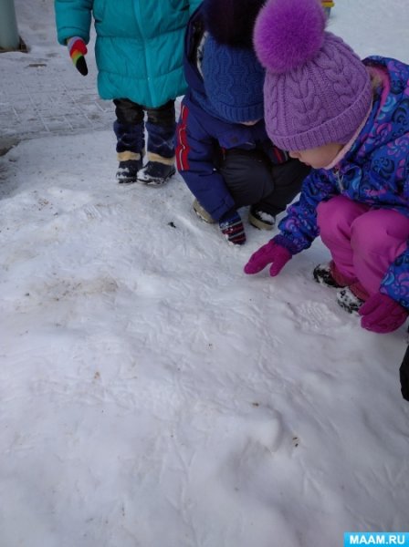 Наблюдение на прогулке зимой