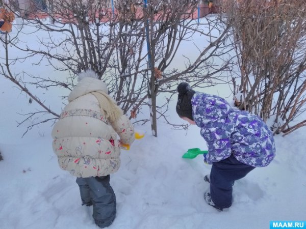 Наблюдение за зимними деревьями в детском саду