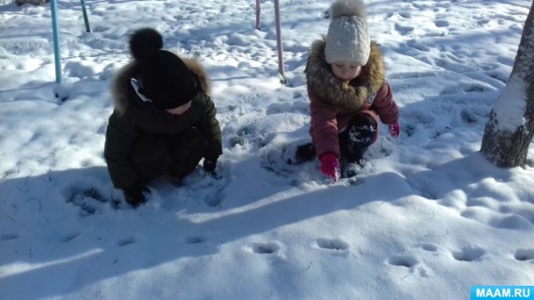 Прогулка наблюдение за снегом