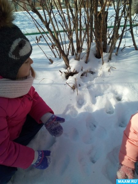 Наблюдение детей на прогулке