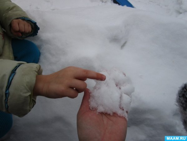 Наблюдение за снегом