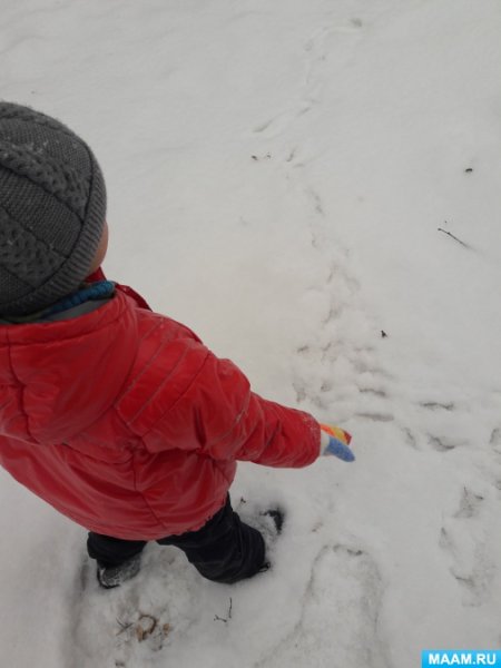 Наблюдение за снегом в старшей группе