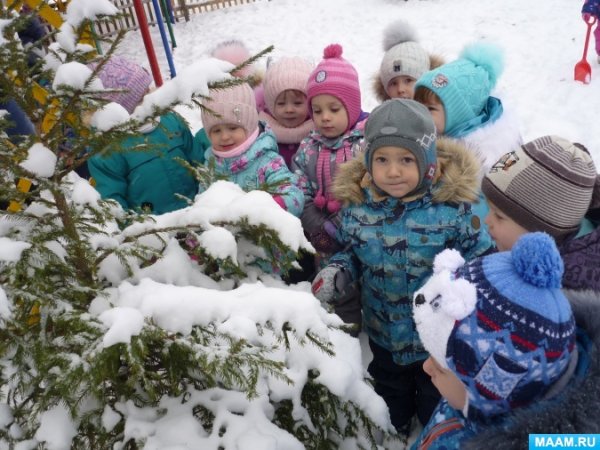 Наблюдение на прогулке зимой