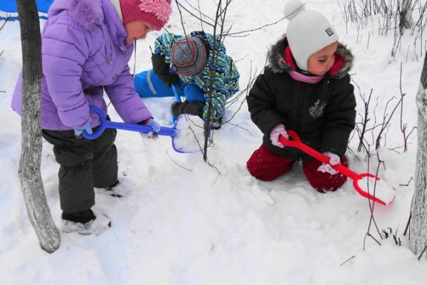 Наблюдение в детском саду на прогулке зимой