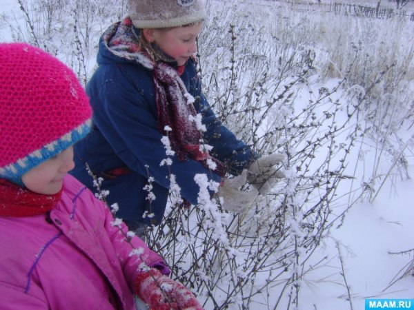 Ддетти наблюдают за природой