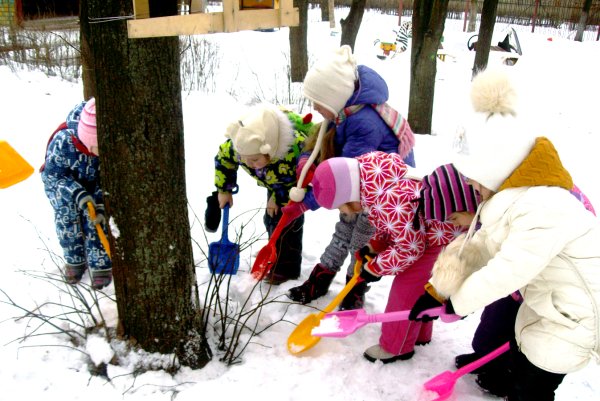 Труд зимой на участке детского сада