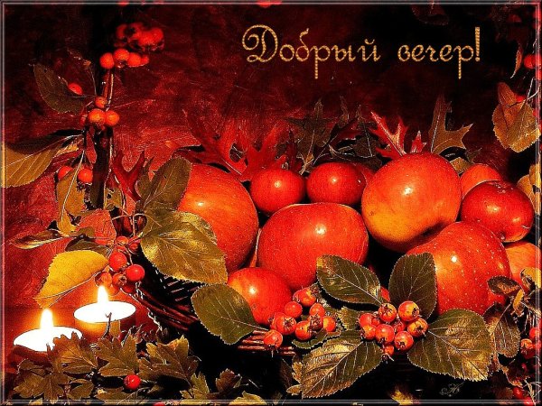 Доброго осененнено внсера