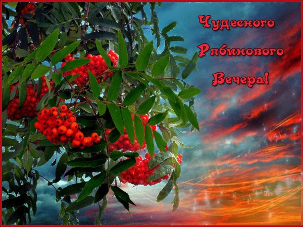 Доброе осеннее утро с рябиной