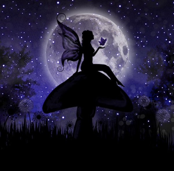 Сиреневая Фея ночью