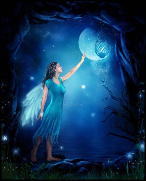 Сказочная ночь