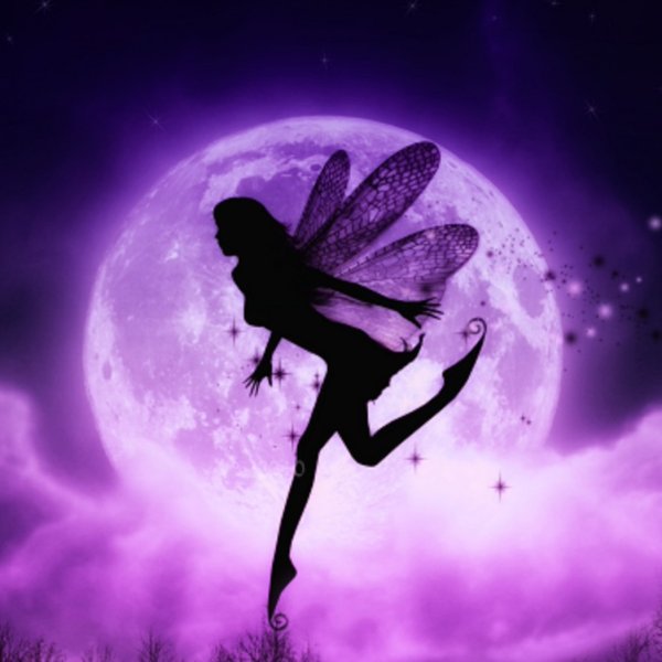Фиолетовые Крылья феи