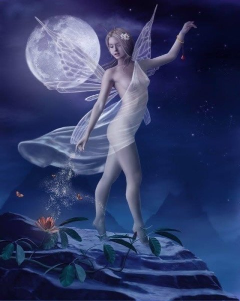 Касумов Лунная Фея