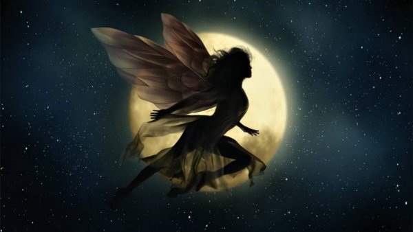 Фарэд ангел полнолуния