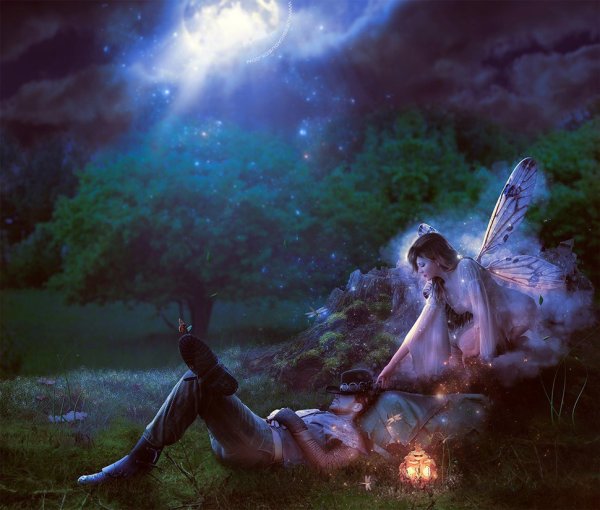 Ночная Фея