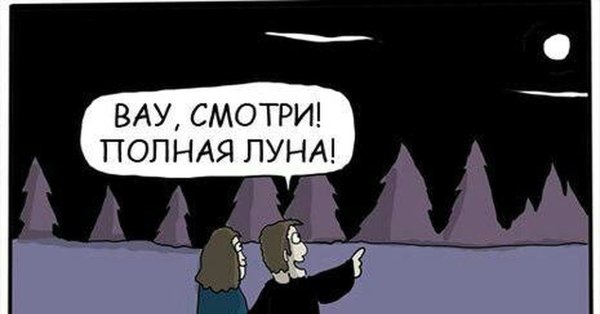 Полная Луна прикол