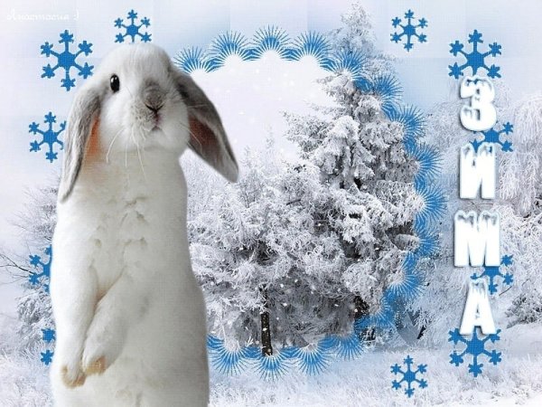 Анимированные открытки зима