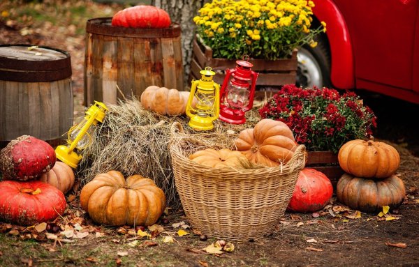 Осень тыквы