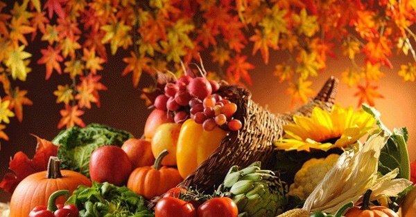 Плоды осени