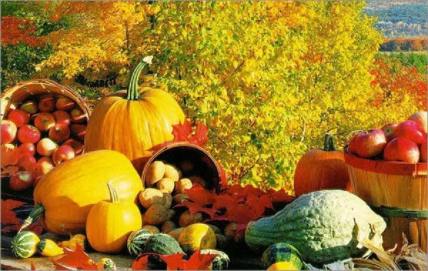Осенний урожай