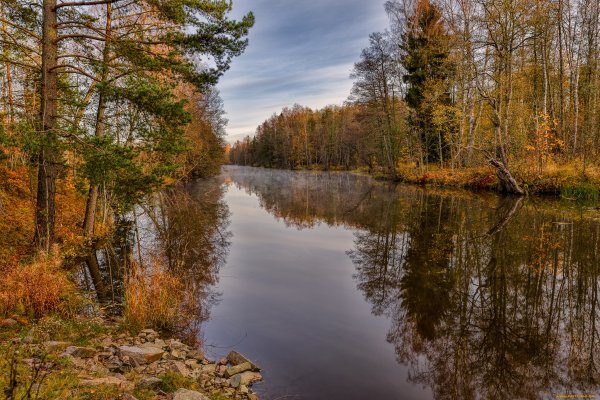 Река Ухра осень