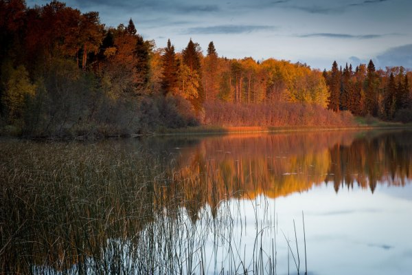 Река осенью