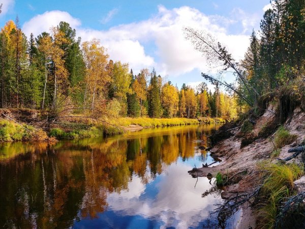 Река в осеннем лесу
