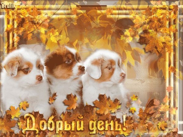 Хорошего четверга и отличного настроения осень