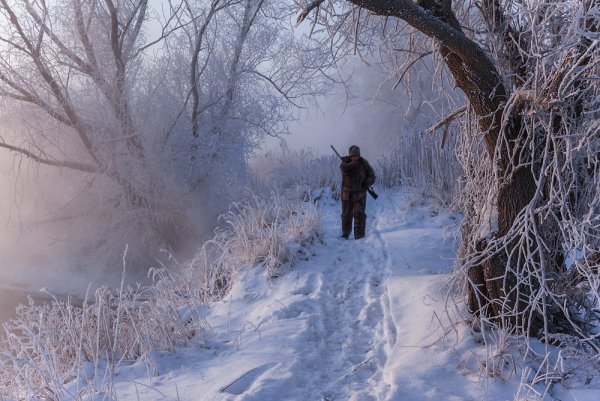 Охота зимой