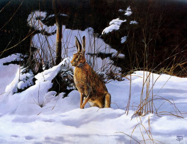 Охота на зайца в живописи