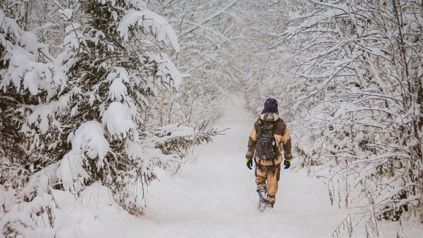 Охотник в зимнем лесу