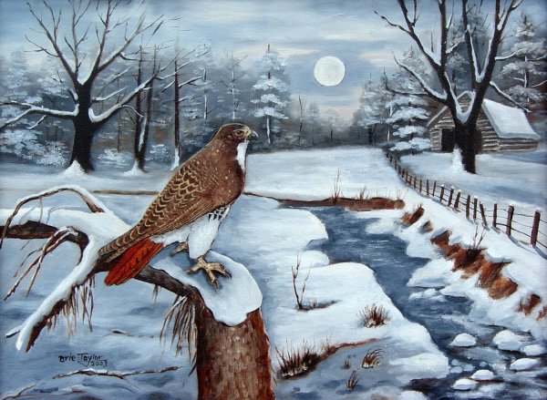 Пришвин птицы под снегом