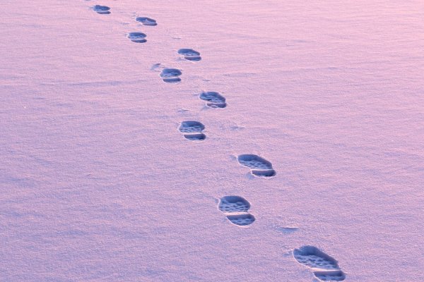 Шаги на снегу