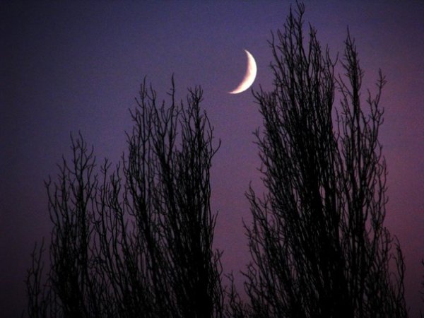 Молодой месяц