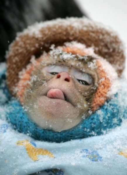 Зима холодно