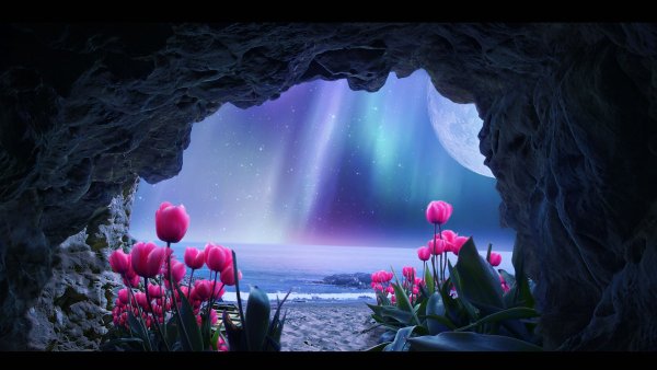 Цветы в лунном свете