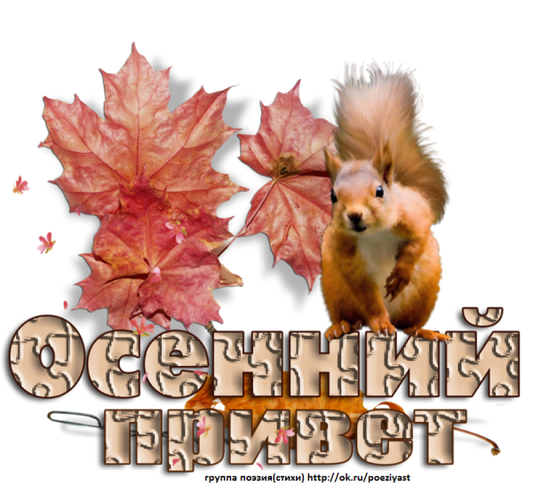 Открытки осенний привет