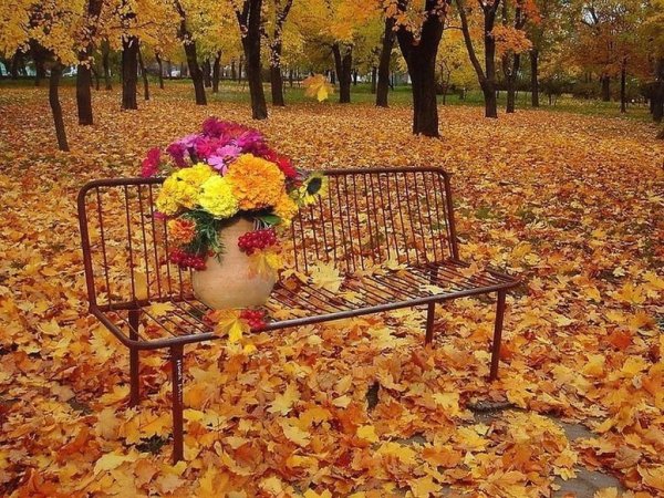 Я ухожу в осеннюю аллею