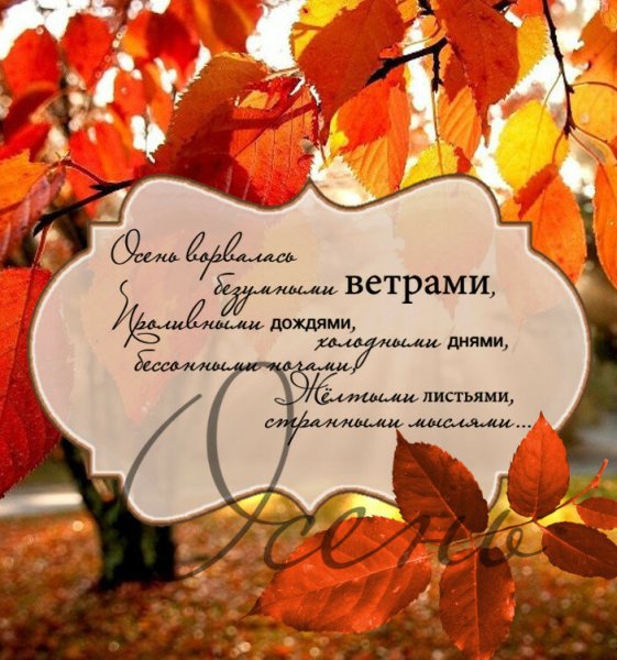 Осенние пожелания в стихах