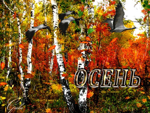 Открытки осень Золотая