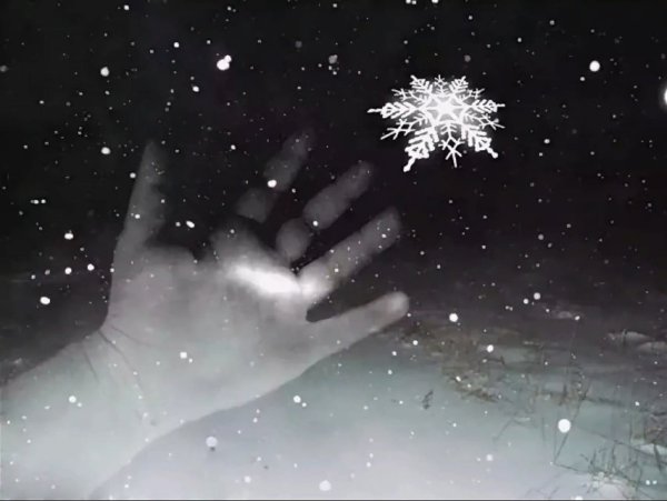 Снежинка на руке