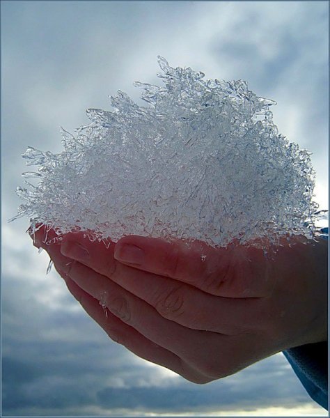 Снежок в ладонях