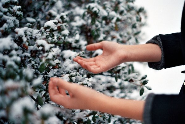 Снег в руках