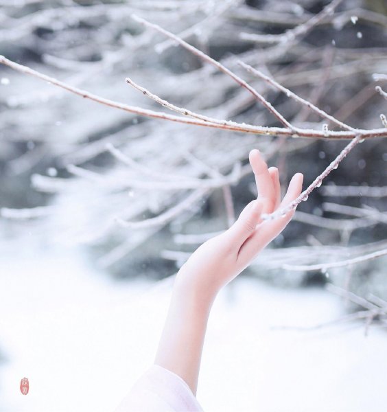 Снег Эстетика