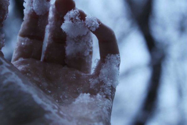 Ледяные руки