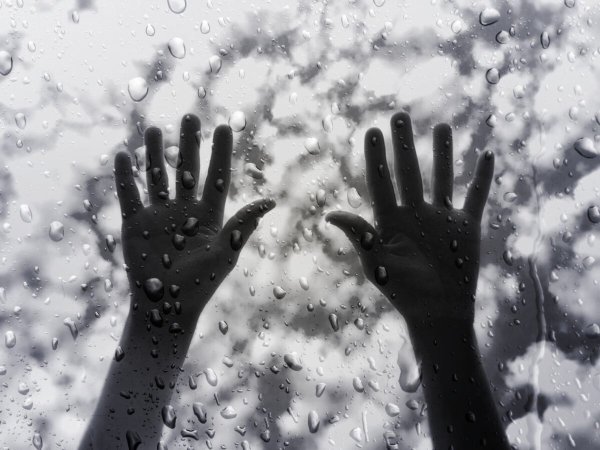 Снежок в ладонях