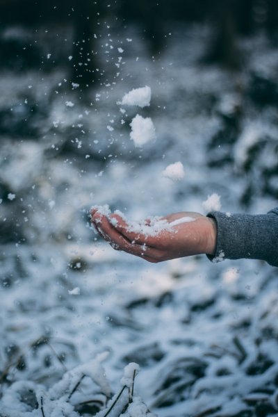 Снег на ладони